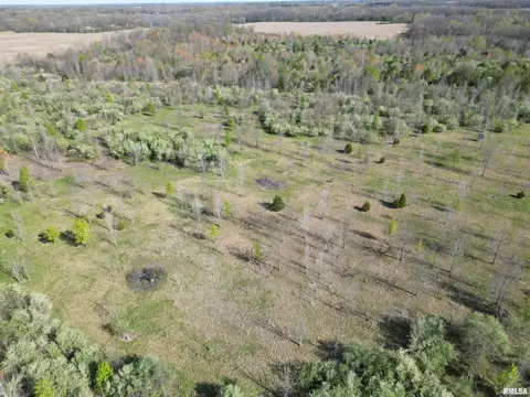 000 E County Road 950 Rd, Cisne, IL 62823 photo 5