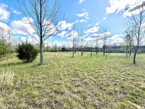 000 E County Road 950 Rd, Cisne, IL 62823 photo 13