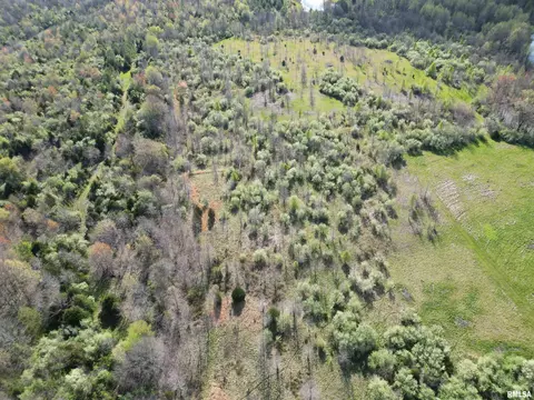 000 E County Road 950 Rd, Cisne, IL 62823 photo 2