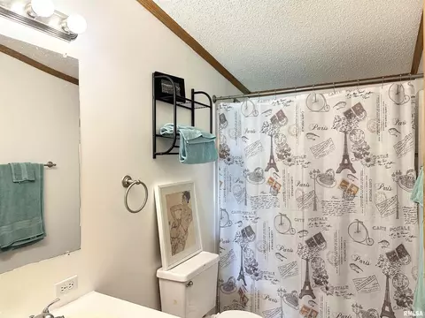 15079 E Gibson Rd, Mount Vernon, IL 62864 photo 31