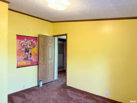 15079 E Gibson Rd, Mount Vernon, IL 62864 photo 26
