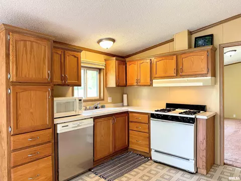 15079 E Gibson Rd, Mount Vernon, IL 62864 photo 8