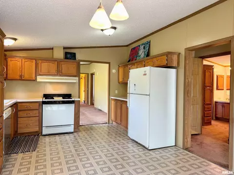 15079 E Gibson Rd, Mount Vernon, IL 62864 photo 12