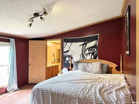 15079 E Gibson Rd, Mount Vernon, IL 62864 photo 14