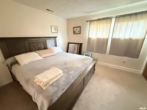 206 Fox Creek Rd, Flora, IL 62839 photo 13