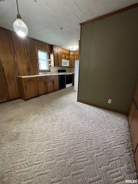809 W Chestnut St, Marion, IL 62959 photo 5