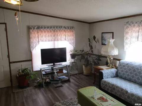 911 N Buchanan St, Benton, IL 62812 photo 7