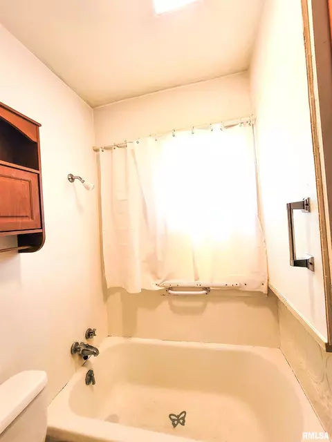 439 Fair Ave, Flora, IL 62839 photo 35