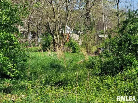 425 W Washington St, Dix, IL 62830 photo 7