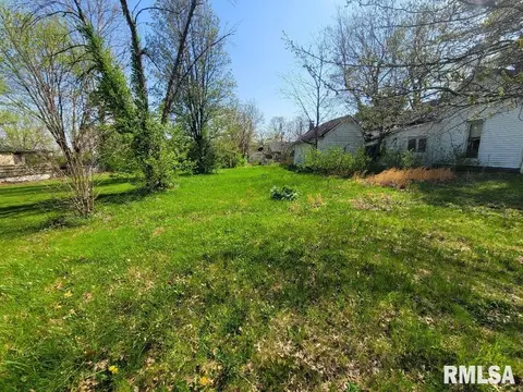 425 W Washington St, Dix, IL 62830 photo 9