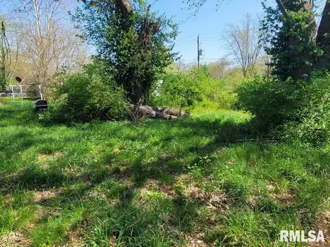 425 W Washington St, Dix, IL 62830 photo 8