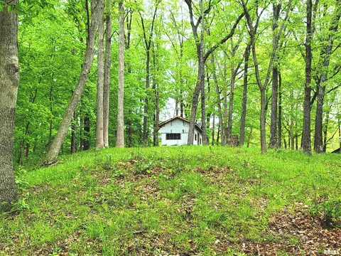 20237 Dogwood Pl, Dix, IL 62830 photo 10