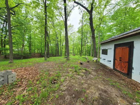 20237 Dogwood Pl, Dix, IL 62830 photo 14
