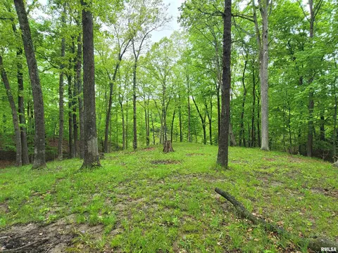 20237 Dogwood Pl, Dix, IL 62830 photo 13