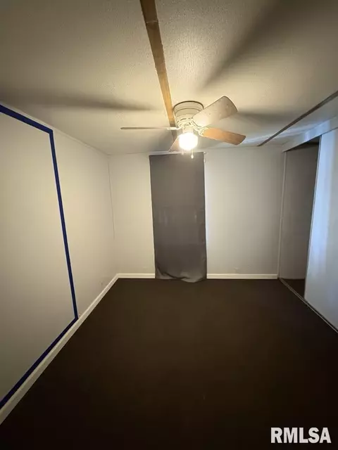 406 Church St, Christopher, IL 62822 photo 9