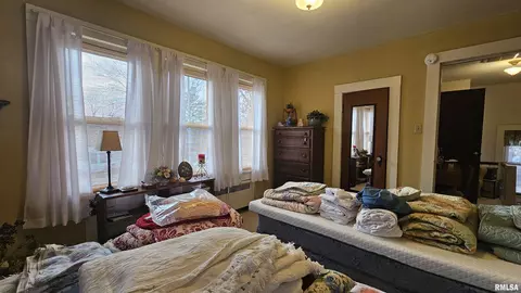 108 Ann St, Anna, IL 62906 photo 39