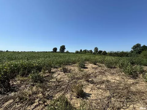 000 N County Road 1375 Rd, Cisne, IL 62823