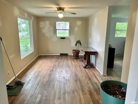 104 W Maple St, Cobden, IL 62920 photo 11