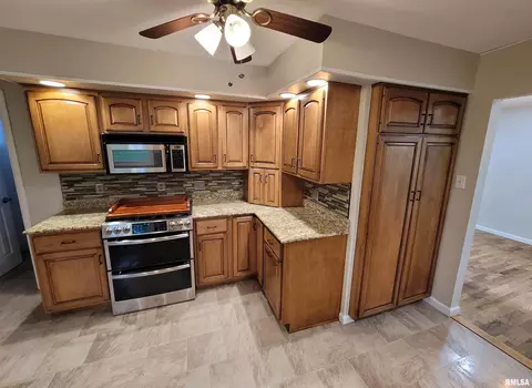 219 Oak Tree Ave, Salem, IL 62881 photo 5