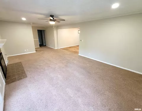 219 Oak Tree Ave, Salem, IL 62881 photo 12