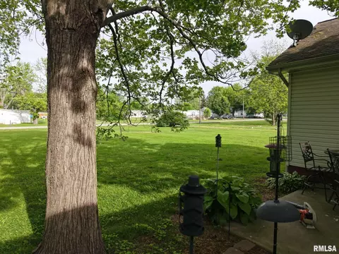 105 E Yung St, Sesser, IL 62884 photo 10