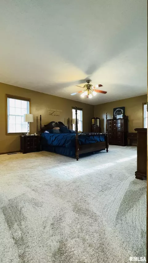 105 E Yung St, Sesser, IL 62884 photo 28