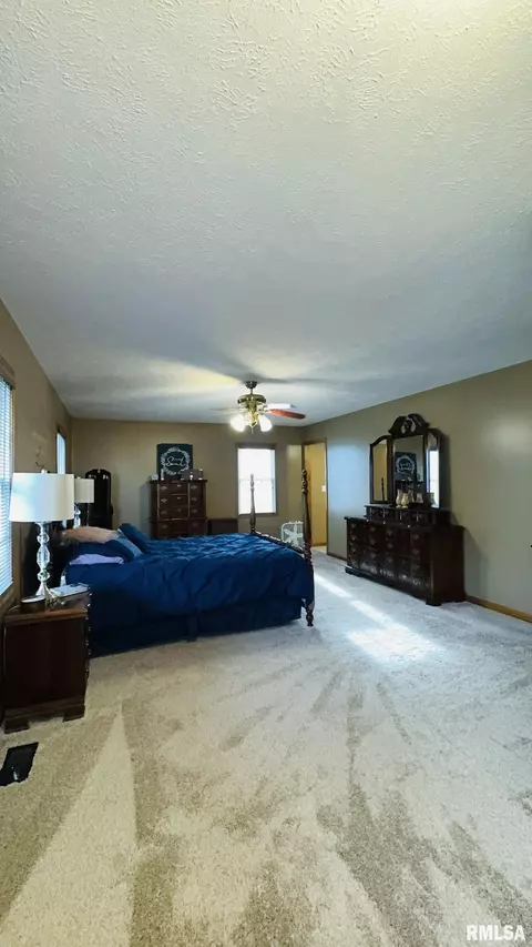 105 E Yung St, Sesser, IL 62884 photo 27