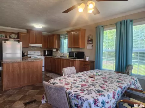 312 Beulah St, Christopher, IL 62822 photo 7