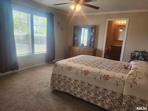 312 Beulah St, Christopher, IL 62822 photo 9