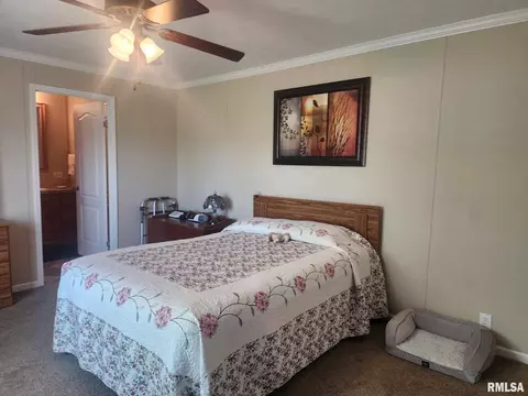312 Beulah St, Christopher, IL 62822 photo 10