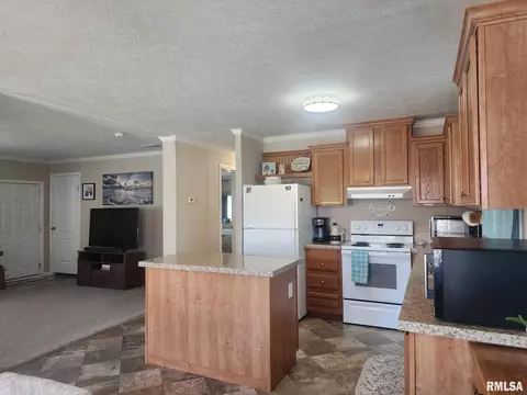 312 Beulah St, Christopher, IL 62822 photo 6
