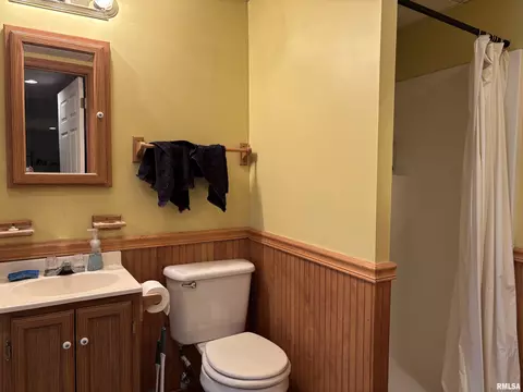 212 Orange St, Anna, IL 62906 photo 43