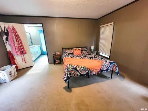 1011 Clan St, Flora, IL 62839 photo 31