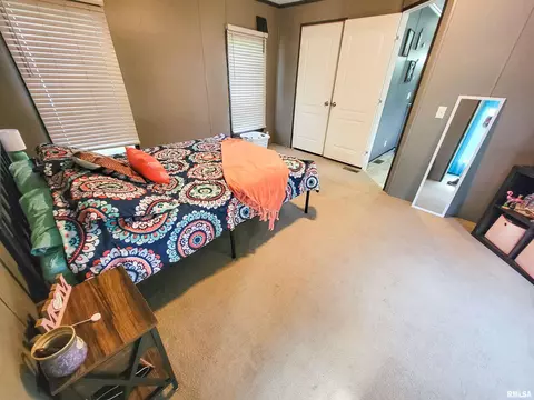 1011 Clan St, Flora, IL 62839 photo 32
