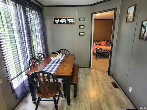 1011 Clan St, Flora, IL 62839 photo 29