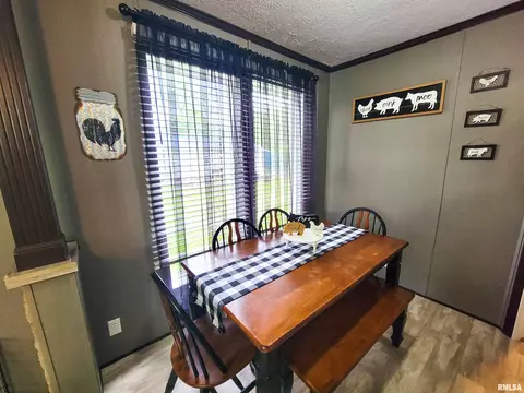 1011 Clan St, Flora, IL 62839 photo 27