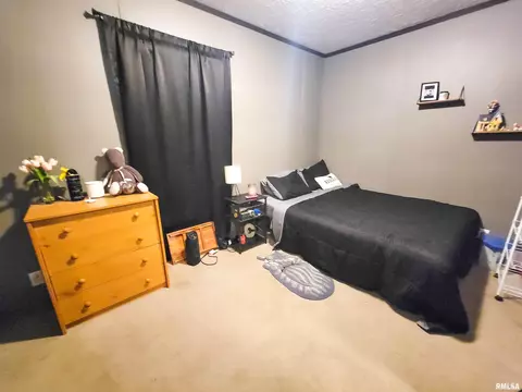 1011 Clan St, Flora, IL 62839 photo 57