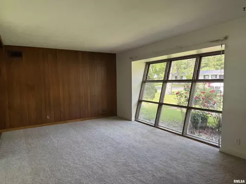 19 Park Ln, Centralia, IL 62801 photo 13