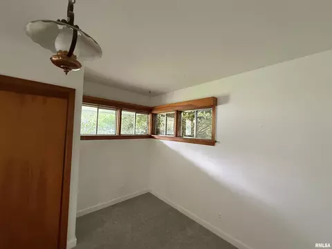 19 Park Ln, Centralia, IL 62801 photo 10