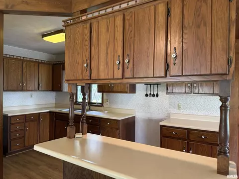 19 Park Ln, Centralia, IL 62801 photo 16