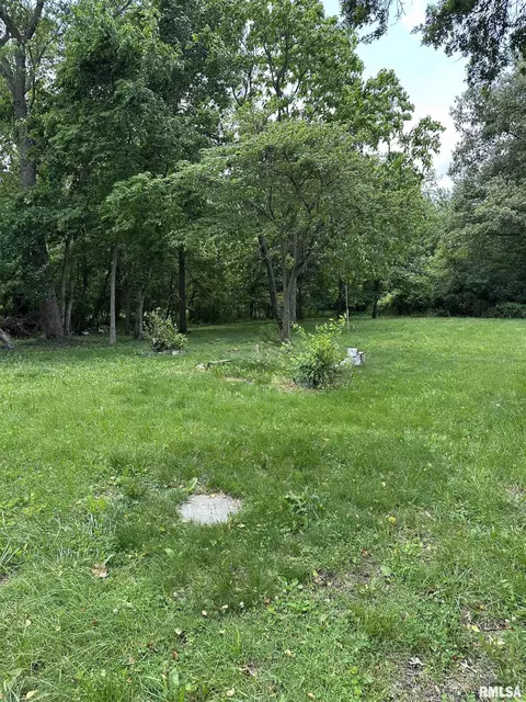 1480 Hemlock Rd, Du Quoin, IL 62832 photo 3