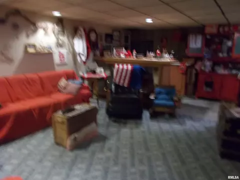 512 S Garfield St, Steeleville, IL 62288 photo 51
