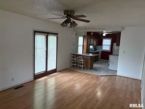 1315 Gartside St, Murphysboro, IL 62966 photo 5