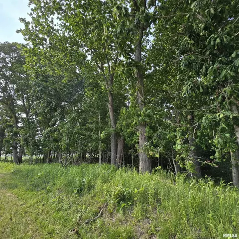 000 Wilson Rd, Kinmundy, IL 62854