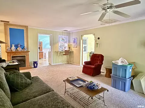 2016 Greenview St, Metropolis, IL 62960 photo 15