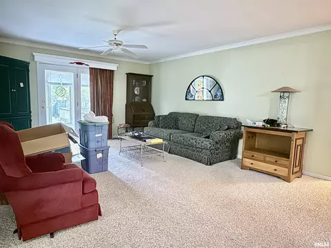 2016 Greenview St, Metropolis, IL 62960 photo 16