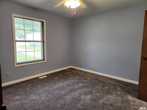 3 Warren Way, Dix, IL 62830 photo 10
