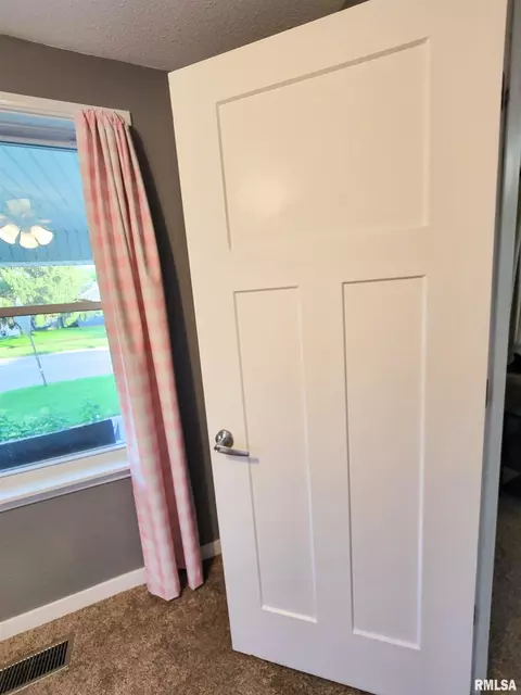 Other - 439 E North Ave, Flora, IL 62839 photo 14 of 31