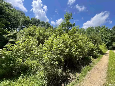 5 W River Rock Rd, Murphysboro, IL 62966 photo 6