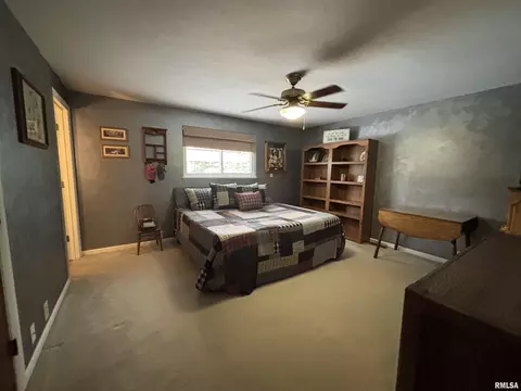 49 Jon St, Metropolis, IL 62960 photo 13